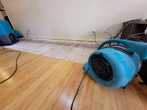 Professional Basement Flood Cleanup technician working in Malta, OH